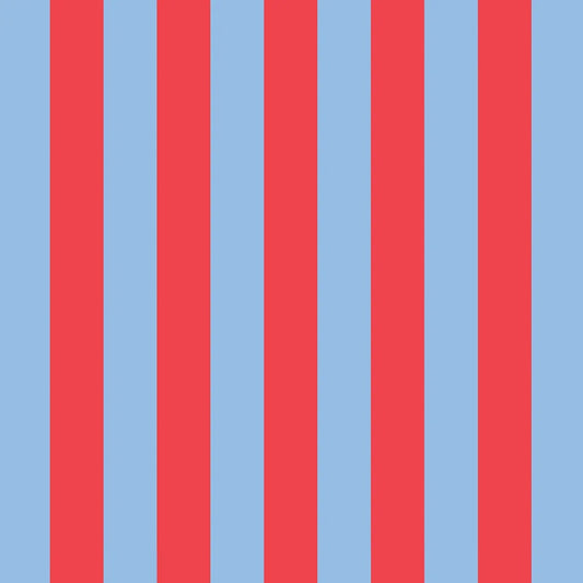Project Ten Red Blue Stripe Pencil Case