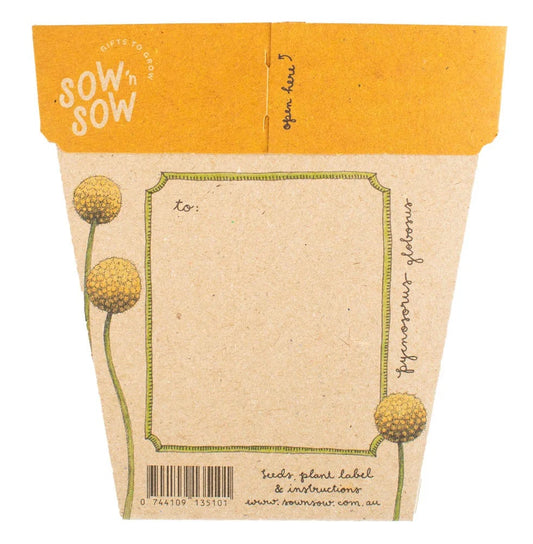 Sow 'n' Sow A Gift of Seeds - Billy Buttons