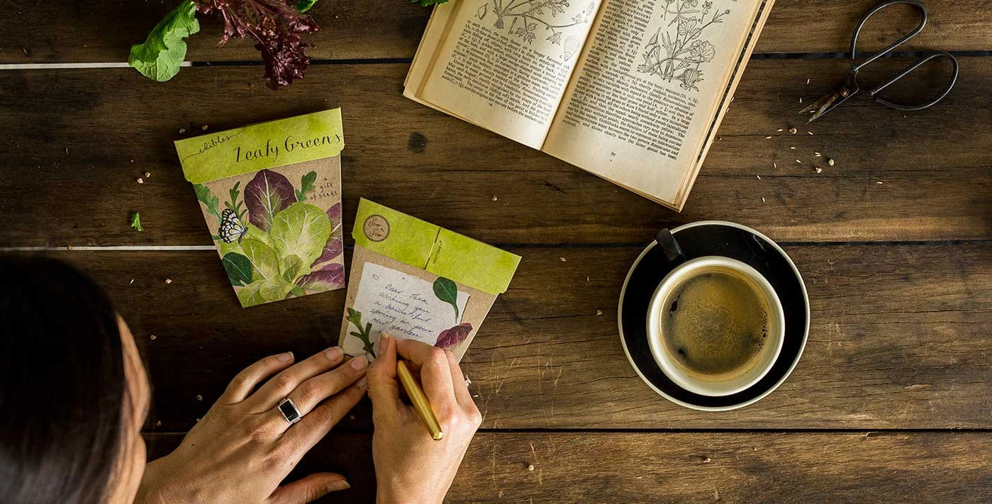 Sow 'n' Sow A Gift of Seeds - Leafy Greens