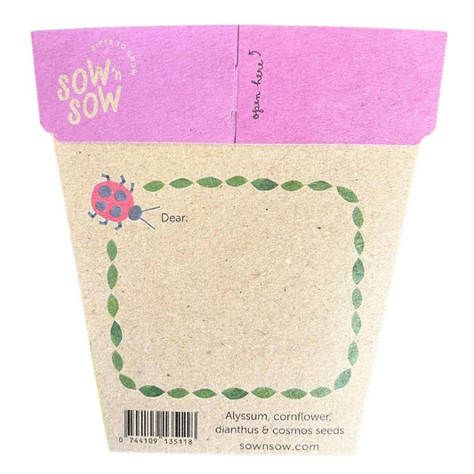Sow 'n' Sow A Gift of Seeds - Enchanted Garden