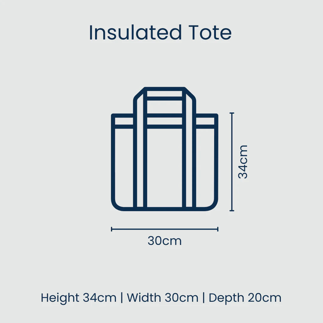IMPERFECT: Project Ten Green Blue Stripe Insulated Tote (Lid Lining)