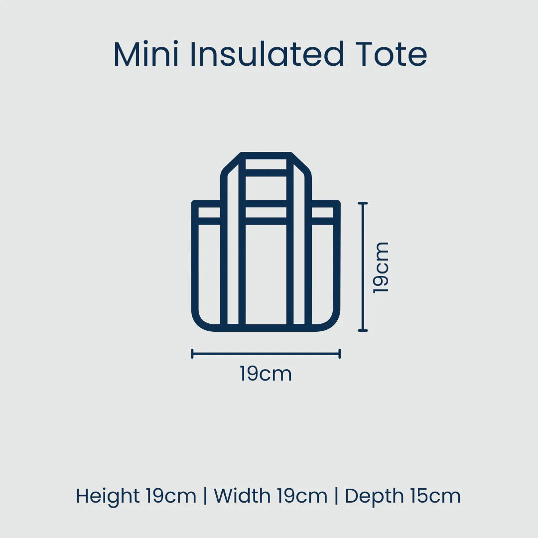 IMPERFECT: Project Ten Green Blue Stripe Mini Insulated Tote (Lid Lining)
