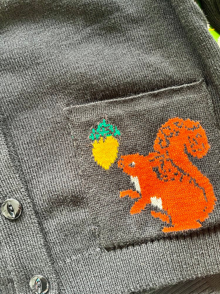 Run and Fly Squirrel Cropped Cardigan