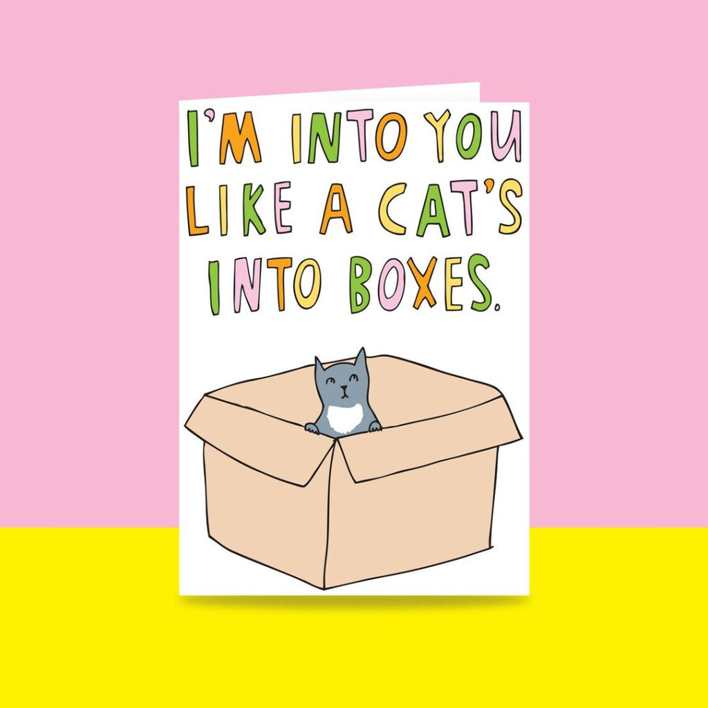 Able & Game I'm Into You Like A Cat's Into Boxes Card