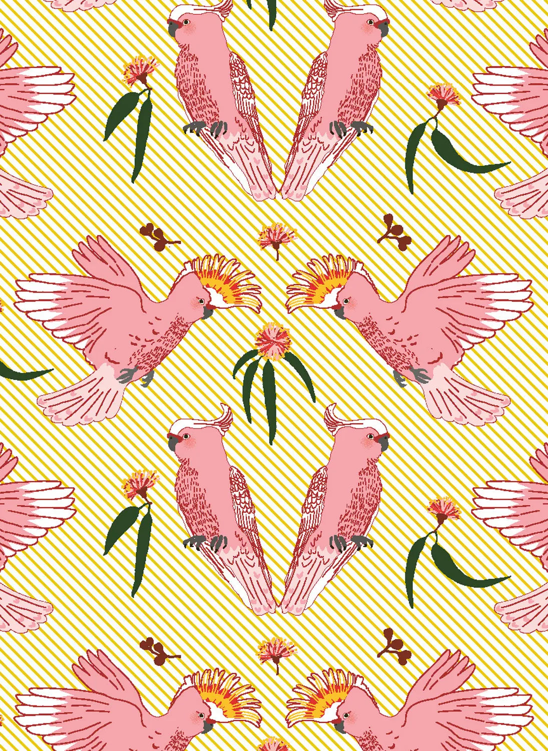 All Wrapped Up Cards: Australia by Alice Oehr