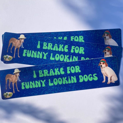 Carla Adams perth artist bumper sticker dogs UV resistant waterproof