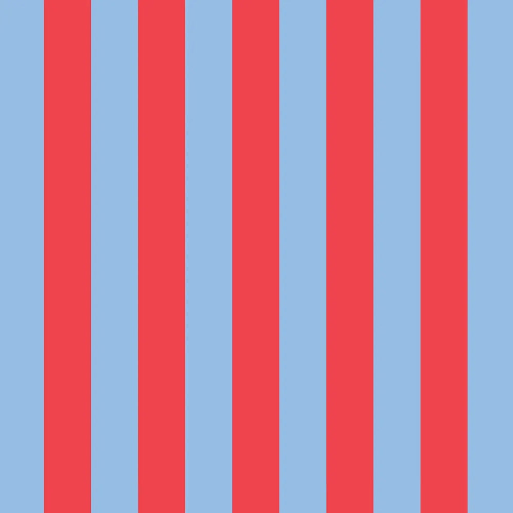 Project Ten Red Blue Stripe Mini Zip Pouch