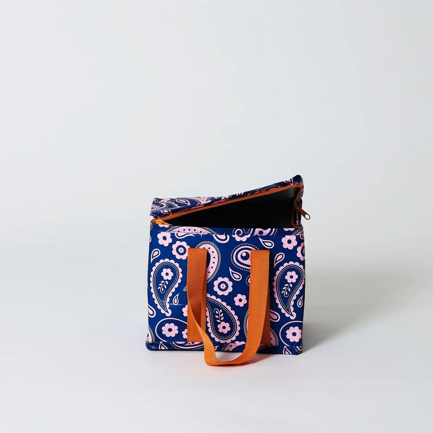 IMPERFECT: Project Ten Paisley Mini Insulated Tote (Seam)