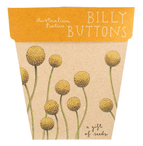 Sow 'n' Sow A Gift of Seeds - Billy Buttons