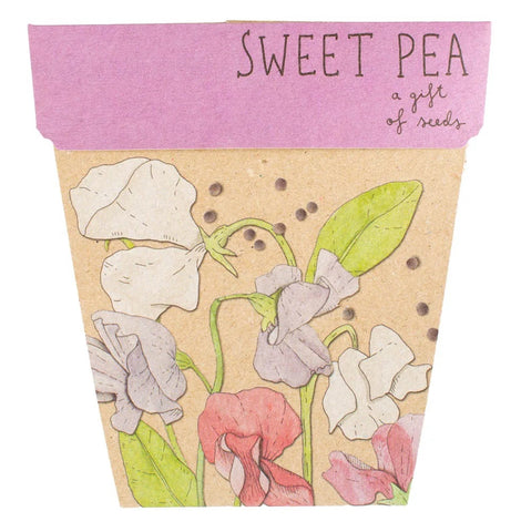 Sow 'n' Sow A Gift of Seeds - Sweet Pea