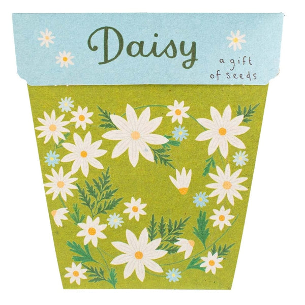 Sow 'n' Sow A Gift of Seeds - Daisy