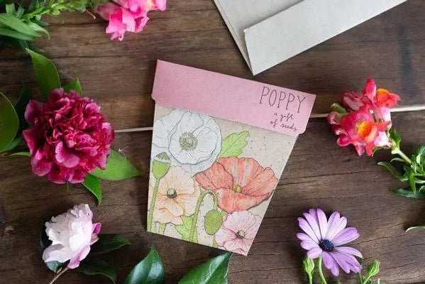 Sow 'n' Sow A Gift of Seeds - Poppy