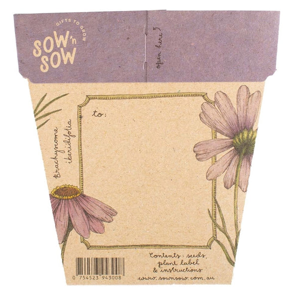 Sow 'n' Sow A Gift of Seeds - Swan River Daisy