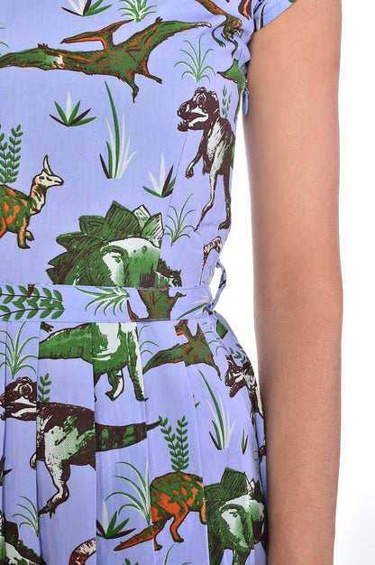 Run and Fly Jurassic Adventure Dinosaur Dress