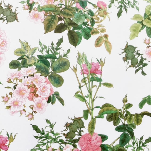 All Wrapped Up: Posy by Adriana Picker