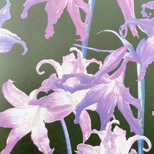 All Wrapped Up: Posy by Adriana Picker